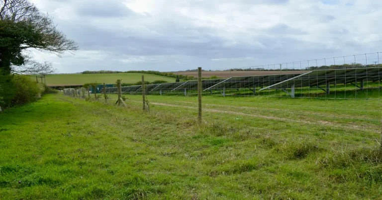 El auge de la energía solar dispara la demanda de tungsteno: La penetración del alambre fotovoltaico alcanza los 60% y reconfigura el mercado en 2026