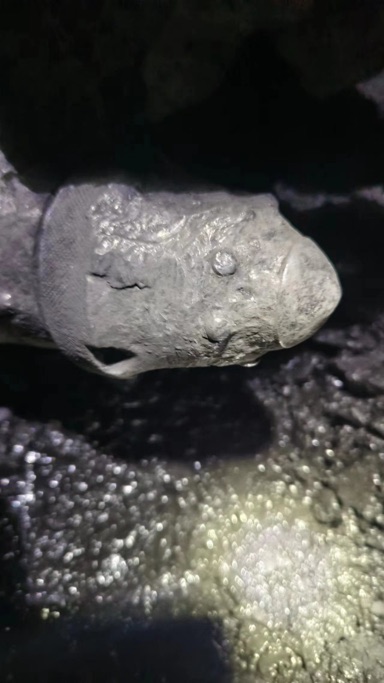 Cutting tooth with severe steel-body washout around the carbide
