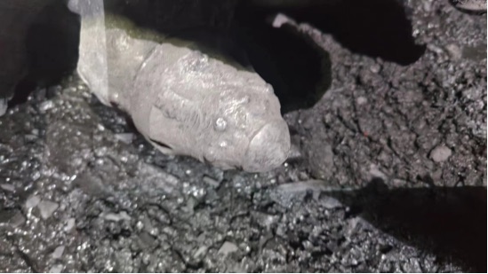 Installed cutting tooth photographed during wear inspection